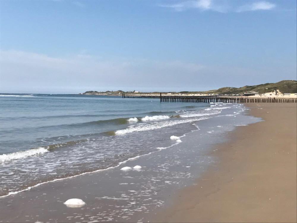 זאוטלנדה Duinvilla Aan De Zee B&B מראה חיצוני תמונה